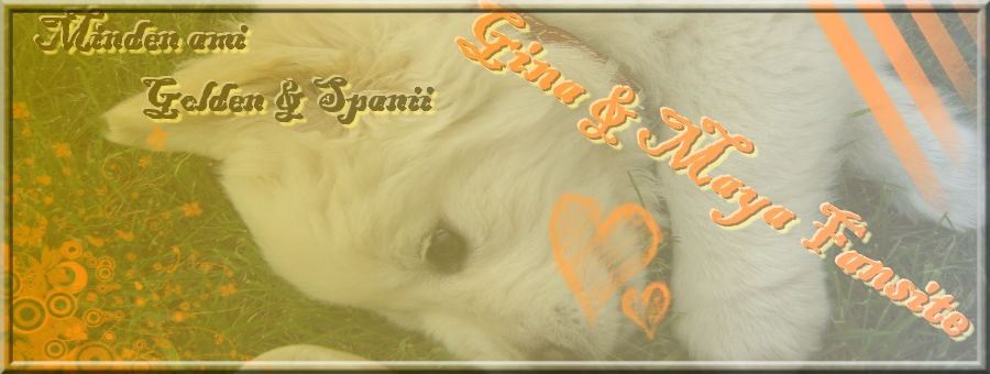 Gina & Maya FanSite <3 <3 Minden ami Spniel & Golden Retriever